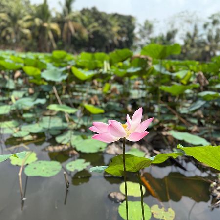 Huong Tram Homestay Ho Da Luaran gambar