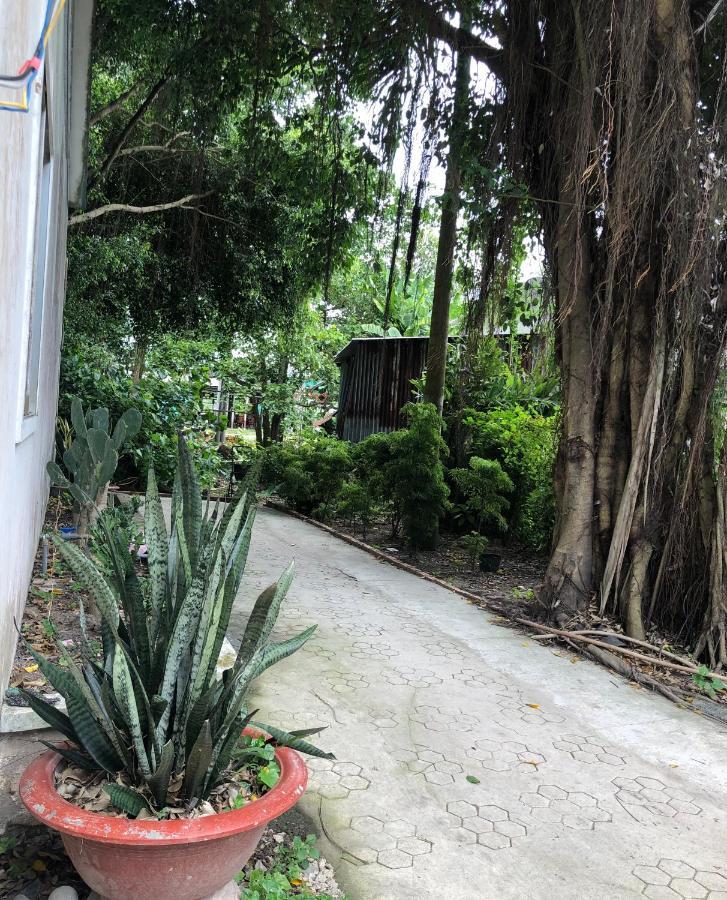 Huong Tram Homestay Ho Da Luaran gambar