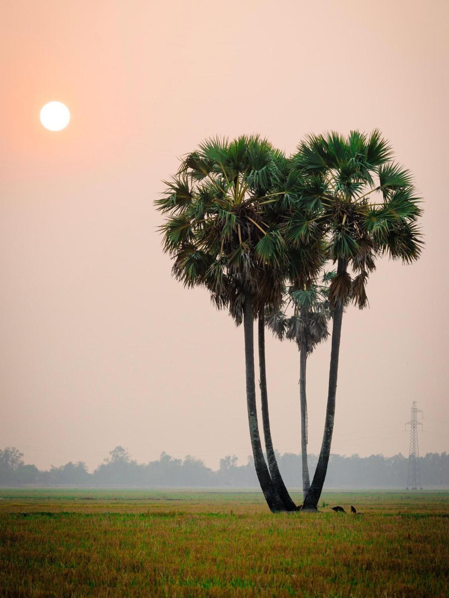 Huong Tram Homestay Ho Da Luaran gambar