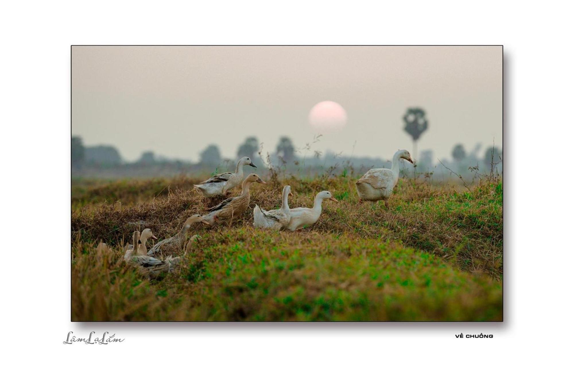Huong Tram Homestay Ho Da Luaran gambar