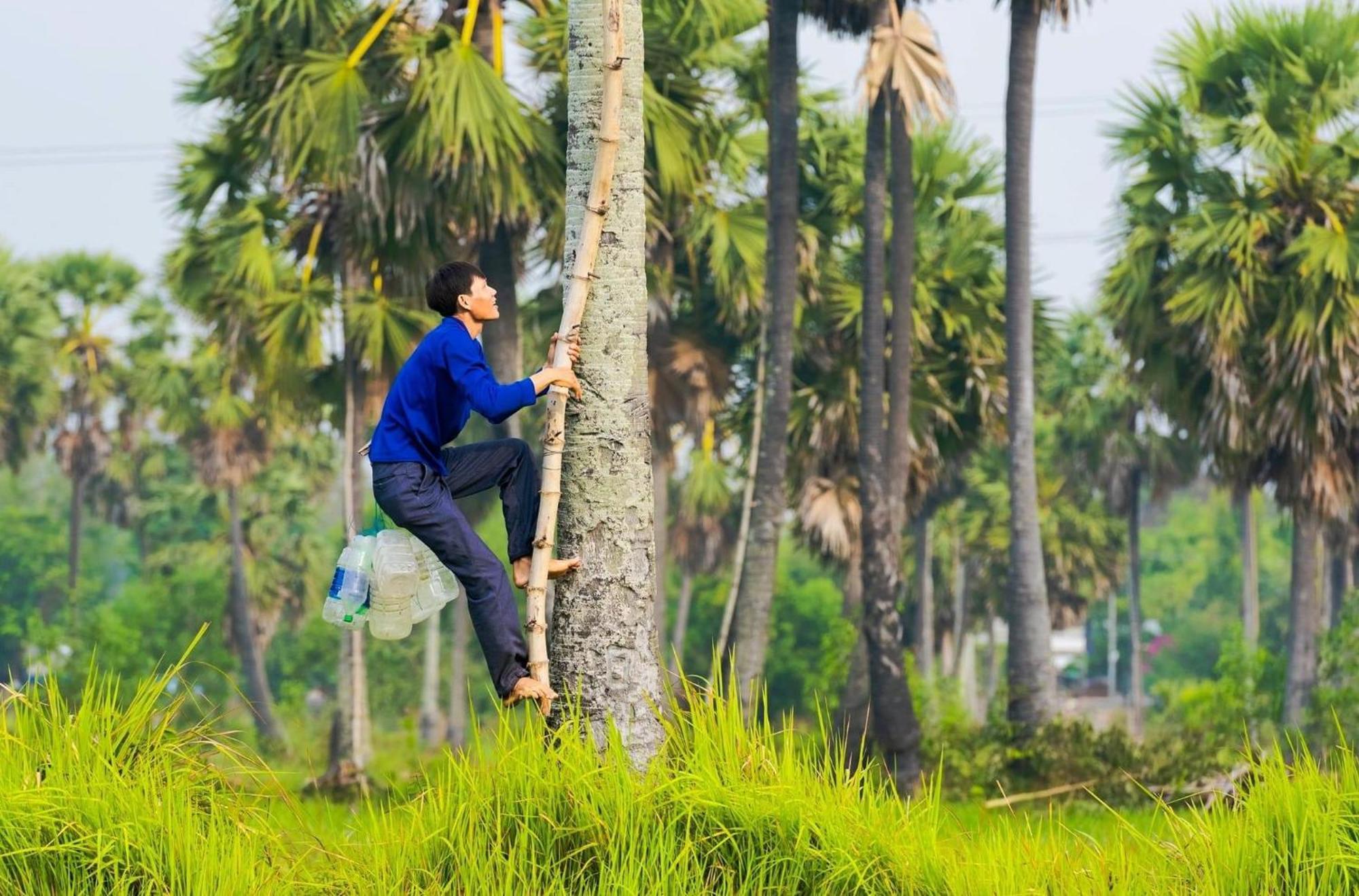 Huong Tram Homestay Ho Da Luaran gambar
