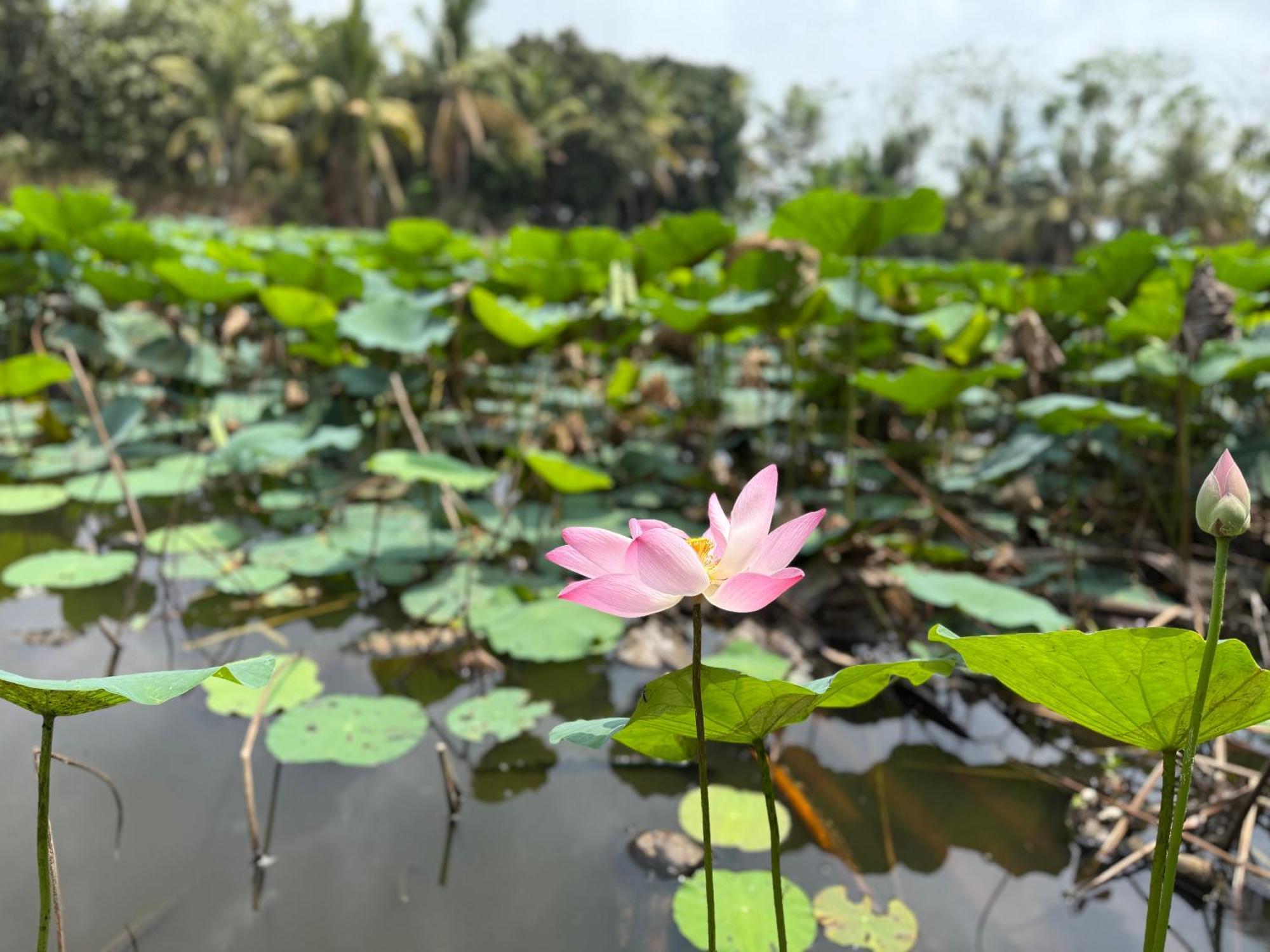 Huong Tram Homestay Ho Da Luaran gambar