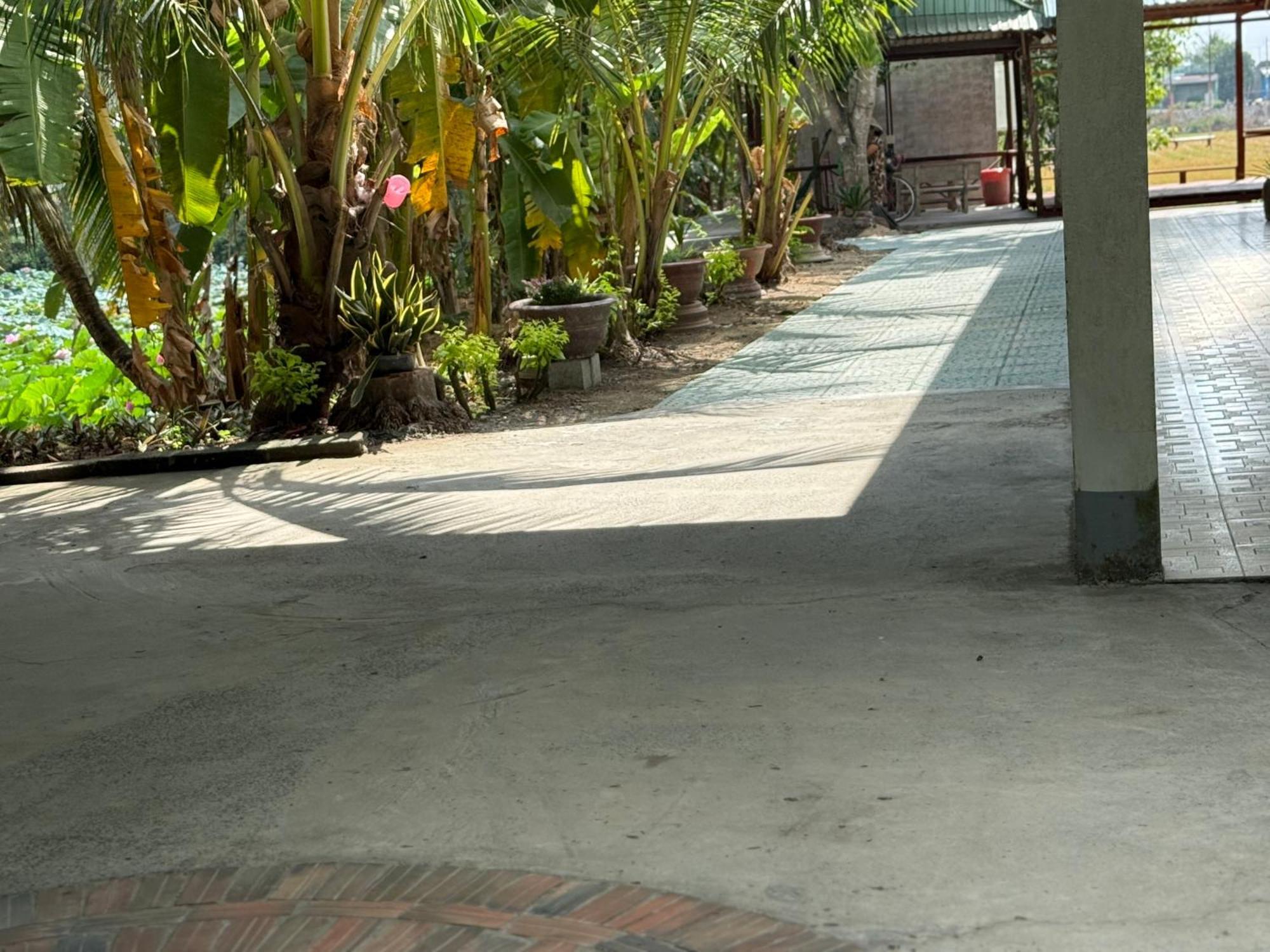 Huong Tram Homestay Ho Da Luaran gambar