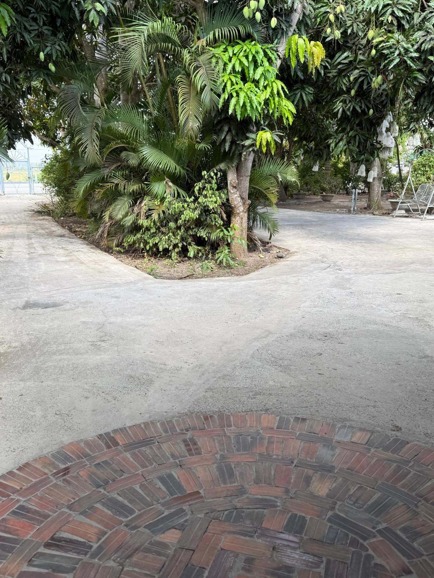 Huong Tram Homestay Ho Da Luaran gambar