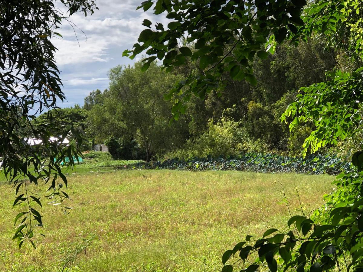 Huong Tram Homestay Ho Da Luaran gambar