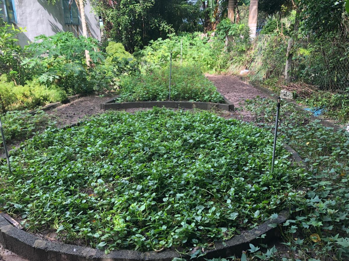Huong Tram Homestay Ho Da Luaran gambar