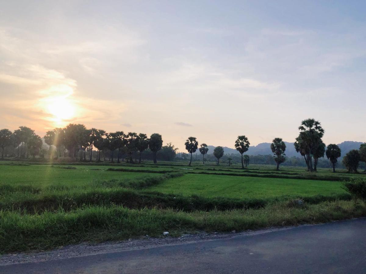 Huong Tram Homestay Ho Da Luaran gambar
